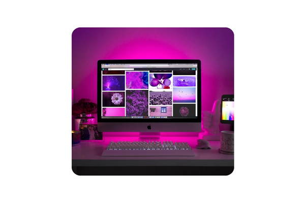 Website Design